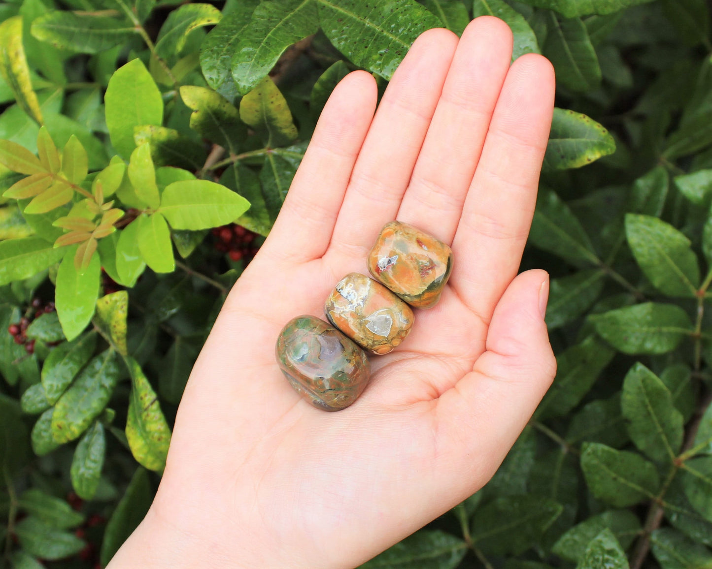 Rhyolite Tumbled Stones