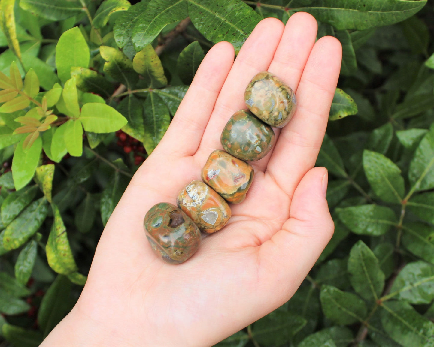 Rhyolite Tumbled Stones