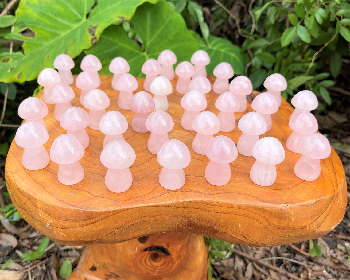 Rose Quartz Crystal Mushrooms