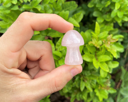 Rose Quartz Crystal Mushrooms