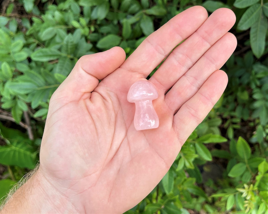 Rose Quartz Crystal Mushrooms