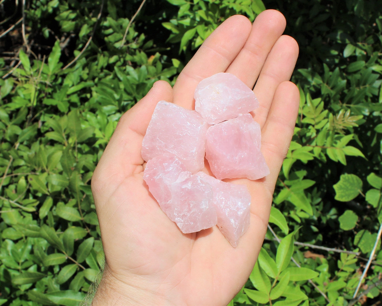 Rose Quartz Natural Rough Stones