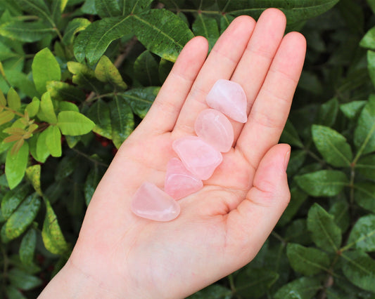 Rose Quartz Tumbled Stones