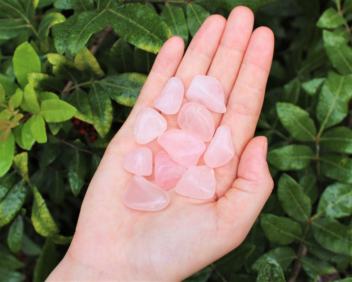 Rose Quartz Tumbled Stones