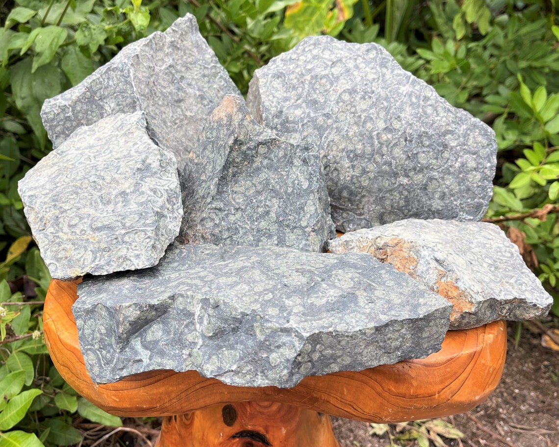 Rough Kambaba Jasper Natural Crystals