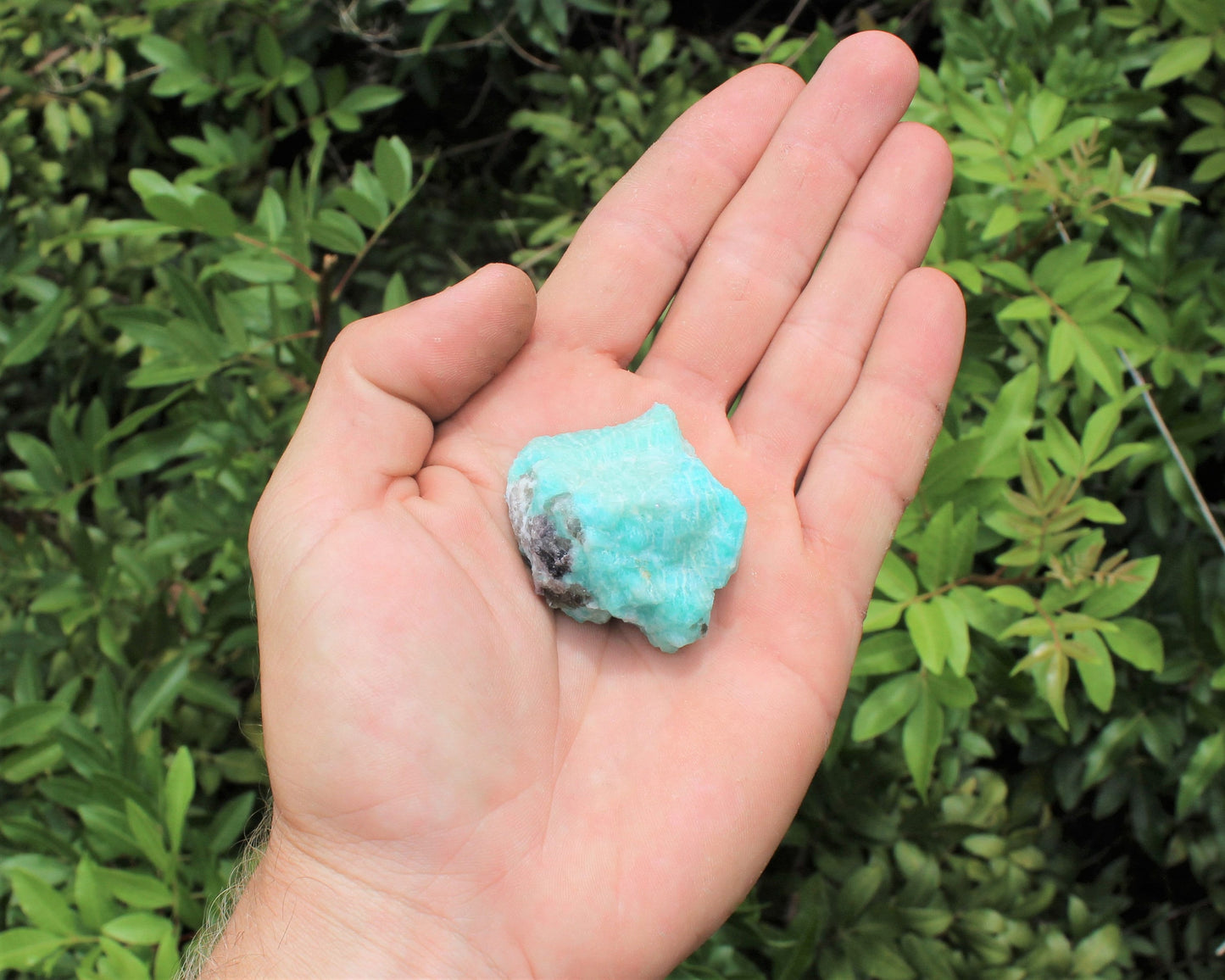 Rough Natural Amazonite Crystals