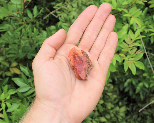 Rough Natural Carnelian