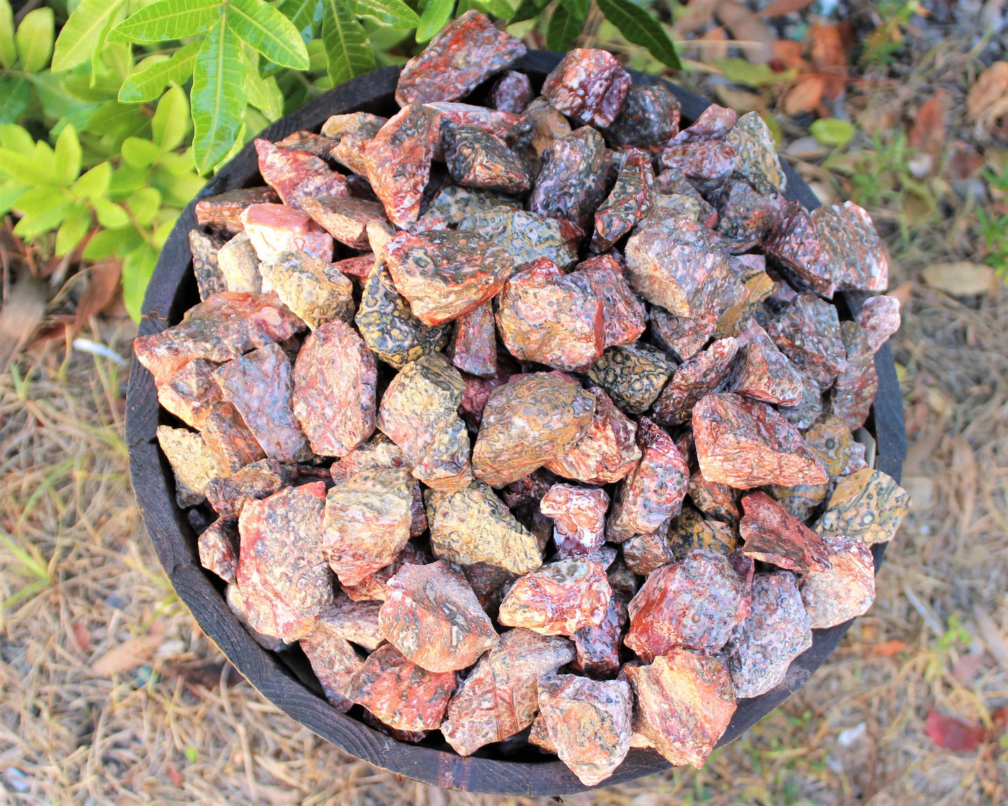 Rough Natural Leopard Pattern Jasper Stones