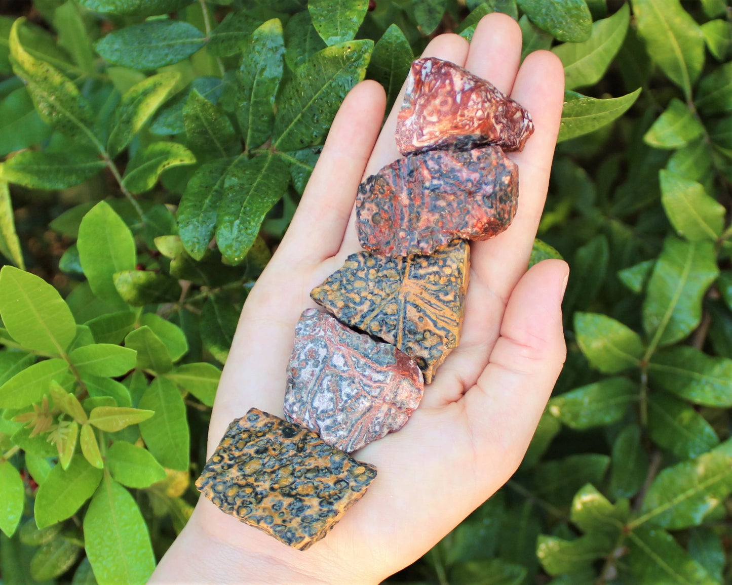 Rough Natural Leopard Pattern Jasper Stones