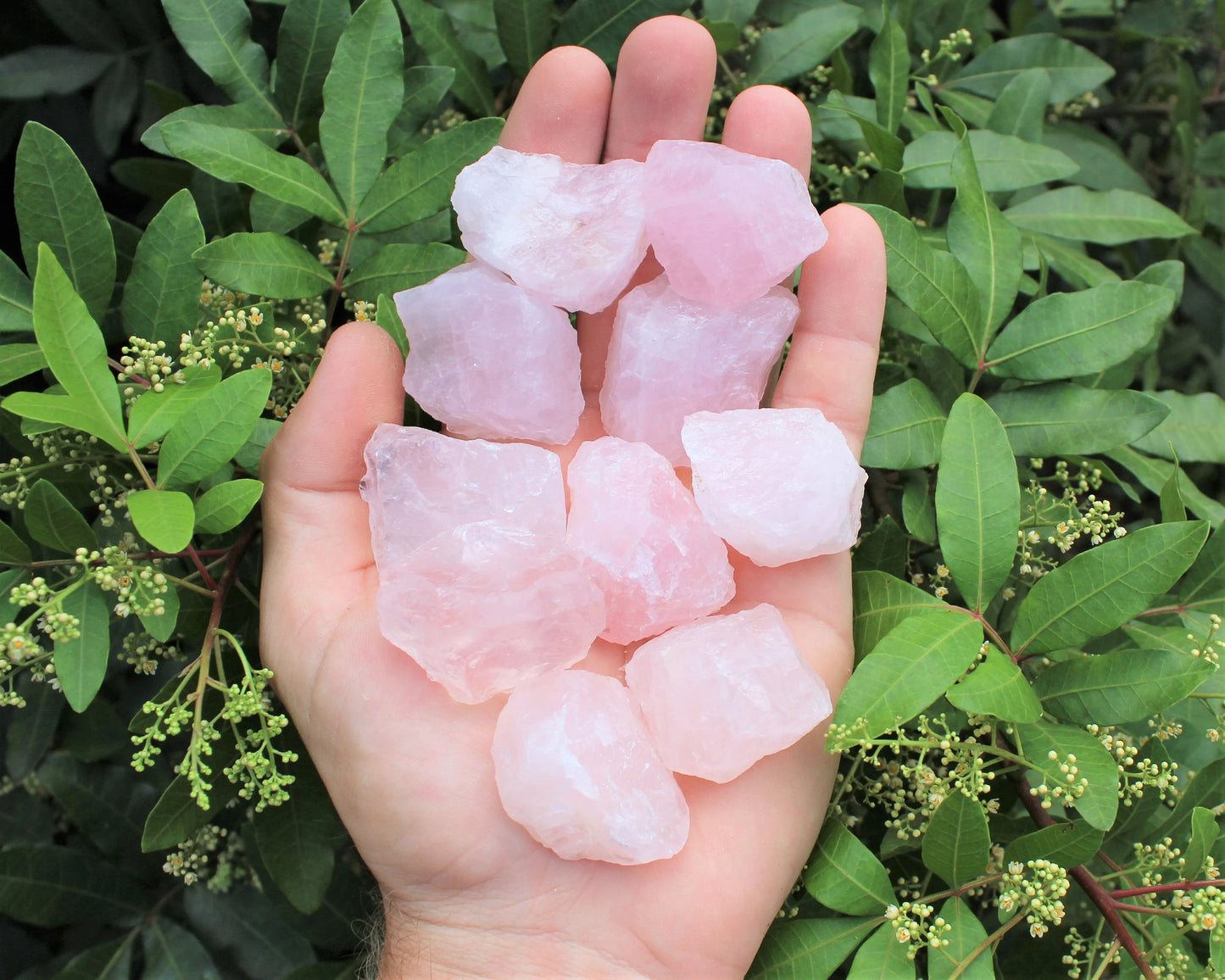 Rough Natural Rose Quartz Stones