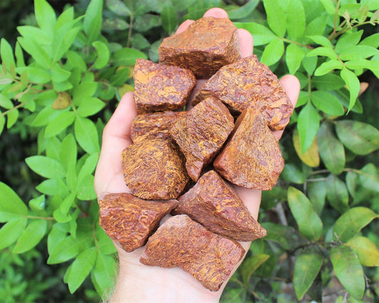 Rough Natural Sanskrit Jasper Stones