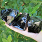 Rough Obsidian Natural Crystals