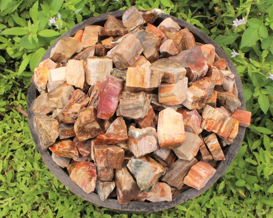 Rough Petrified Wood Natural Stones