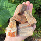 Rough Petrified Wood Natural Stones