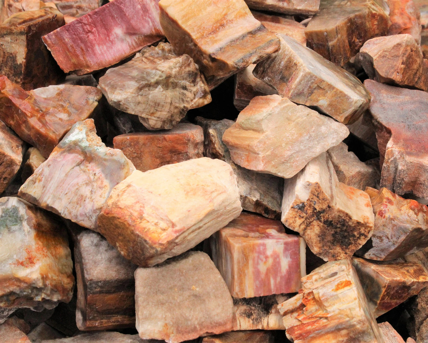 Rough Petrified Wood Natural Stones