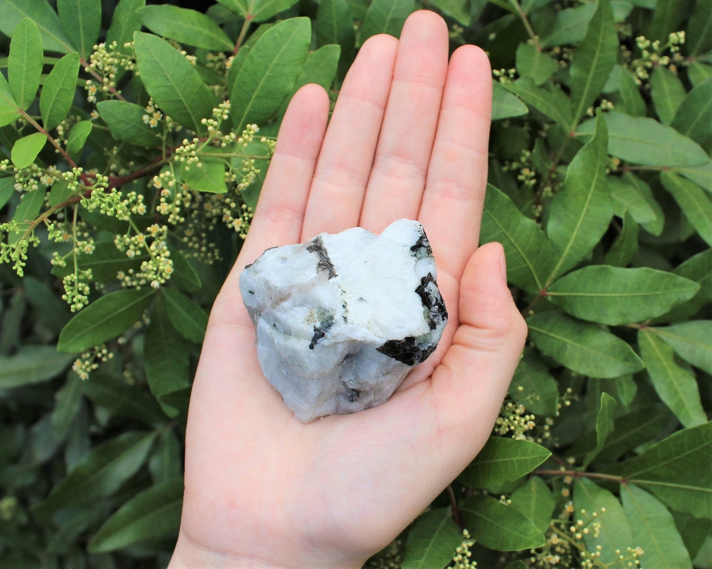 Rough Rainbow Moonstone Chunks