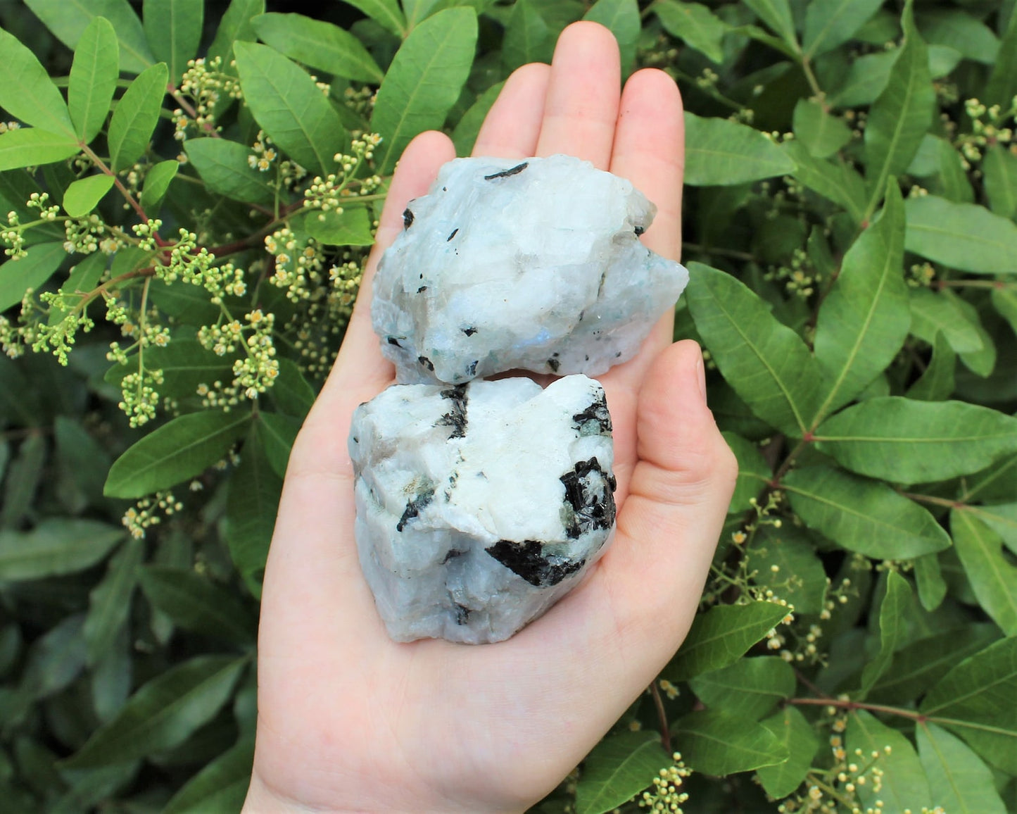 Rough Rainbow Moonstone Chunks