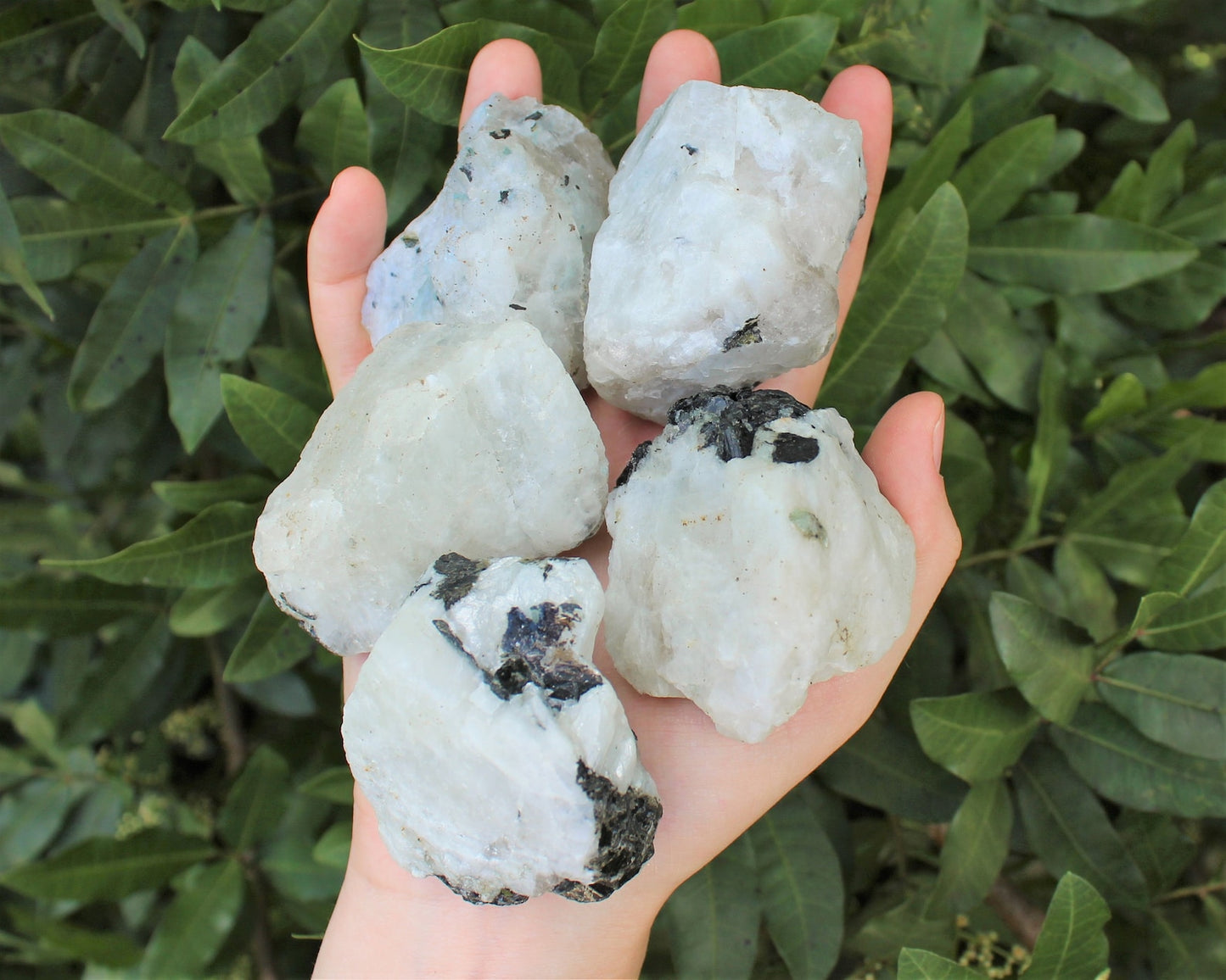 Rough Rainbow Moonstone Chunks