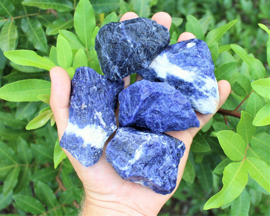 Rough Sodalite Natural Chunks