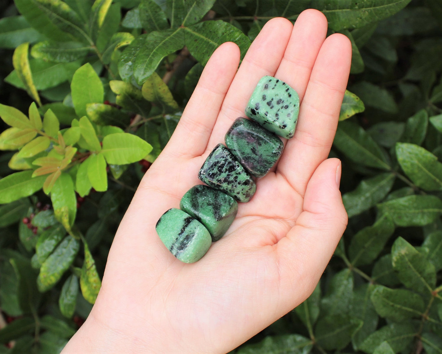 Ruby Zoisite Tumbled Stones