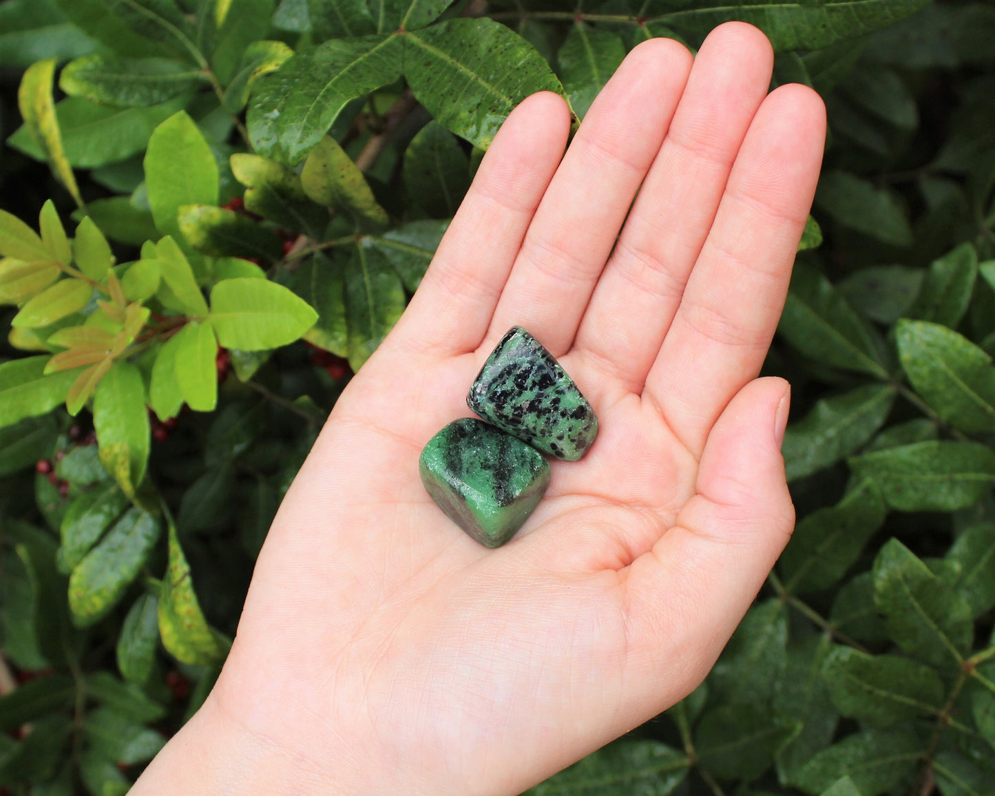 Ruby Zoisite Tumbled Stones