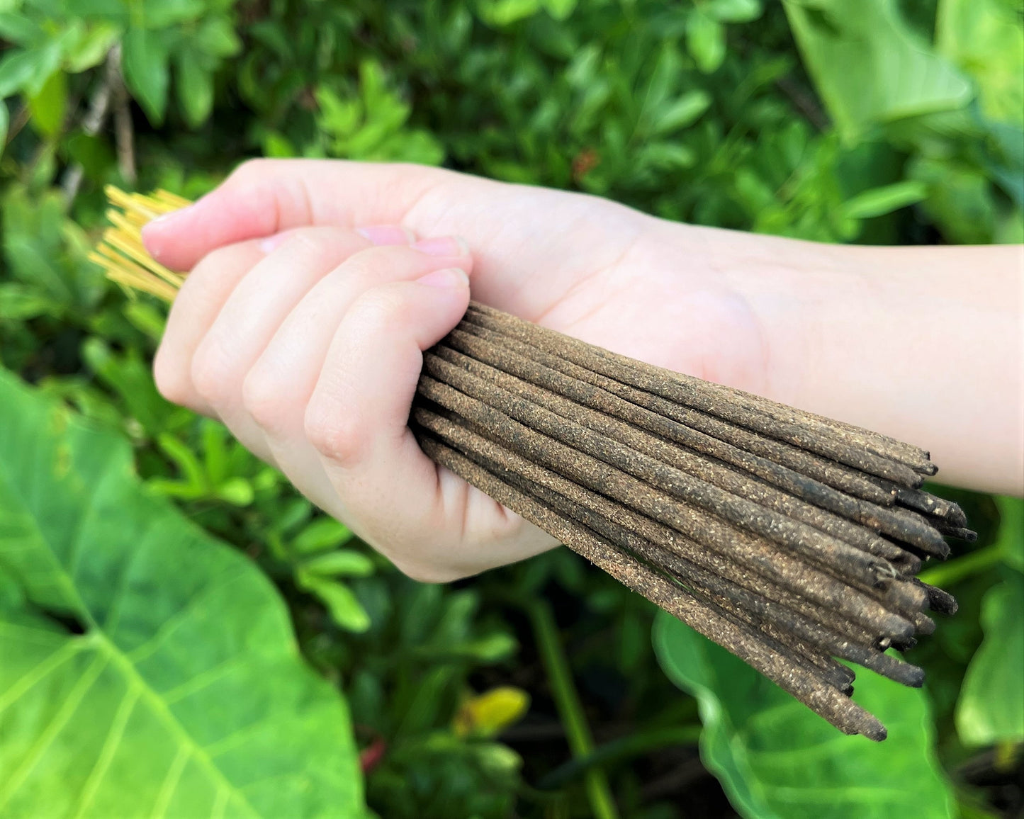 Sage Incense Sticks