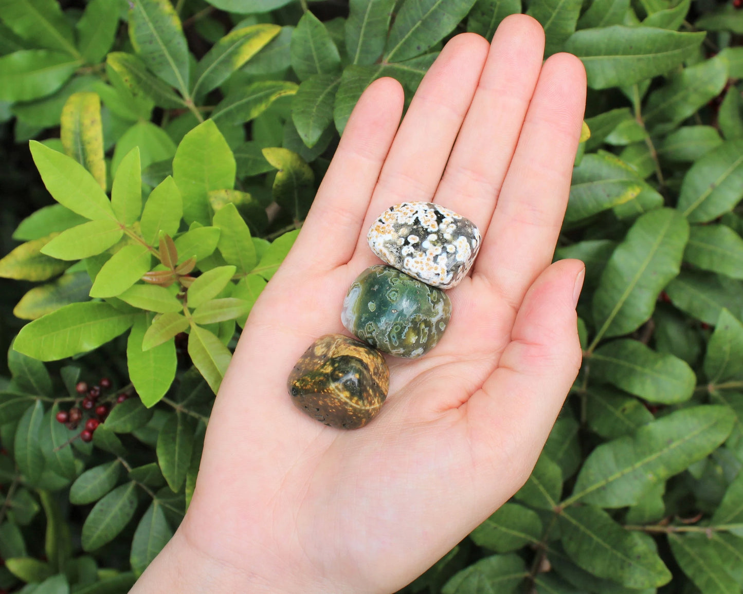 Sea Jasper Tumbled Stones