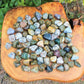 Sea Jasper Tumbled Stones