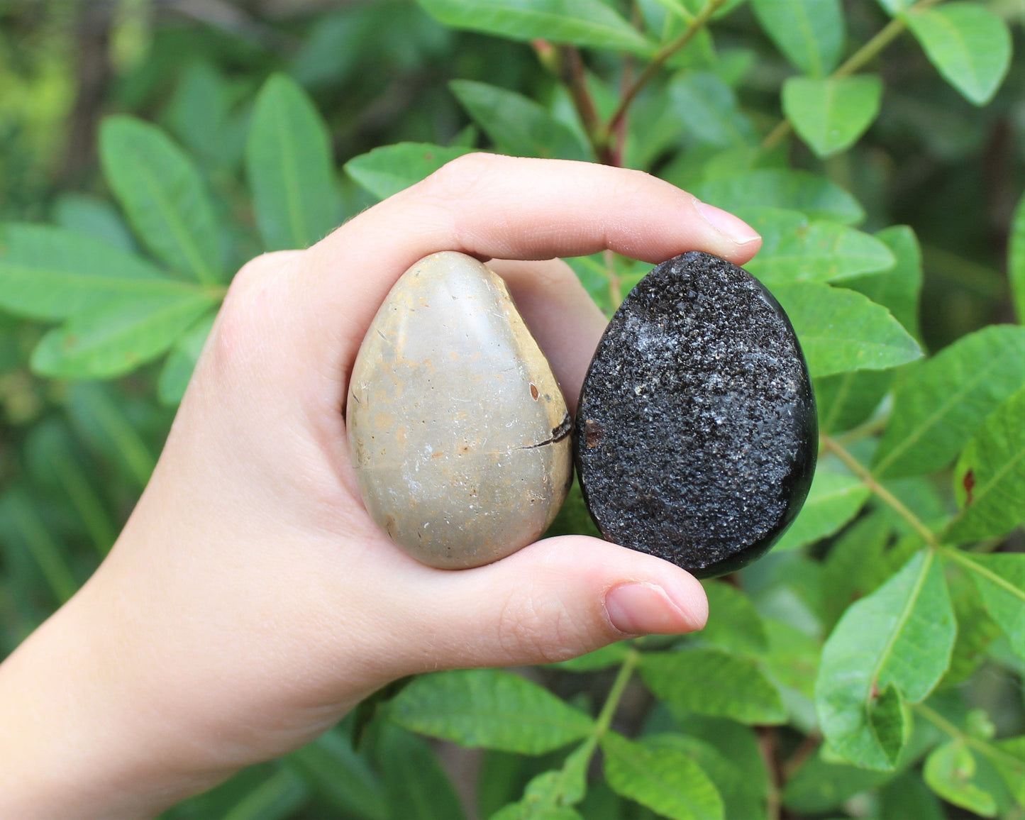 Septarian Egg Stones