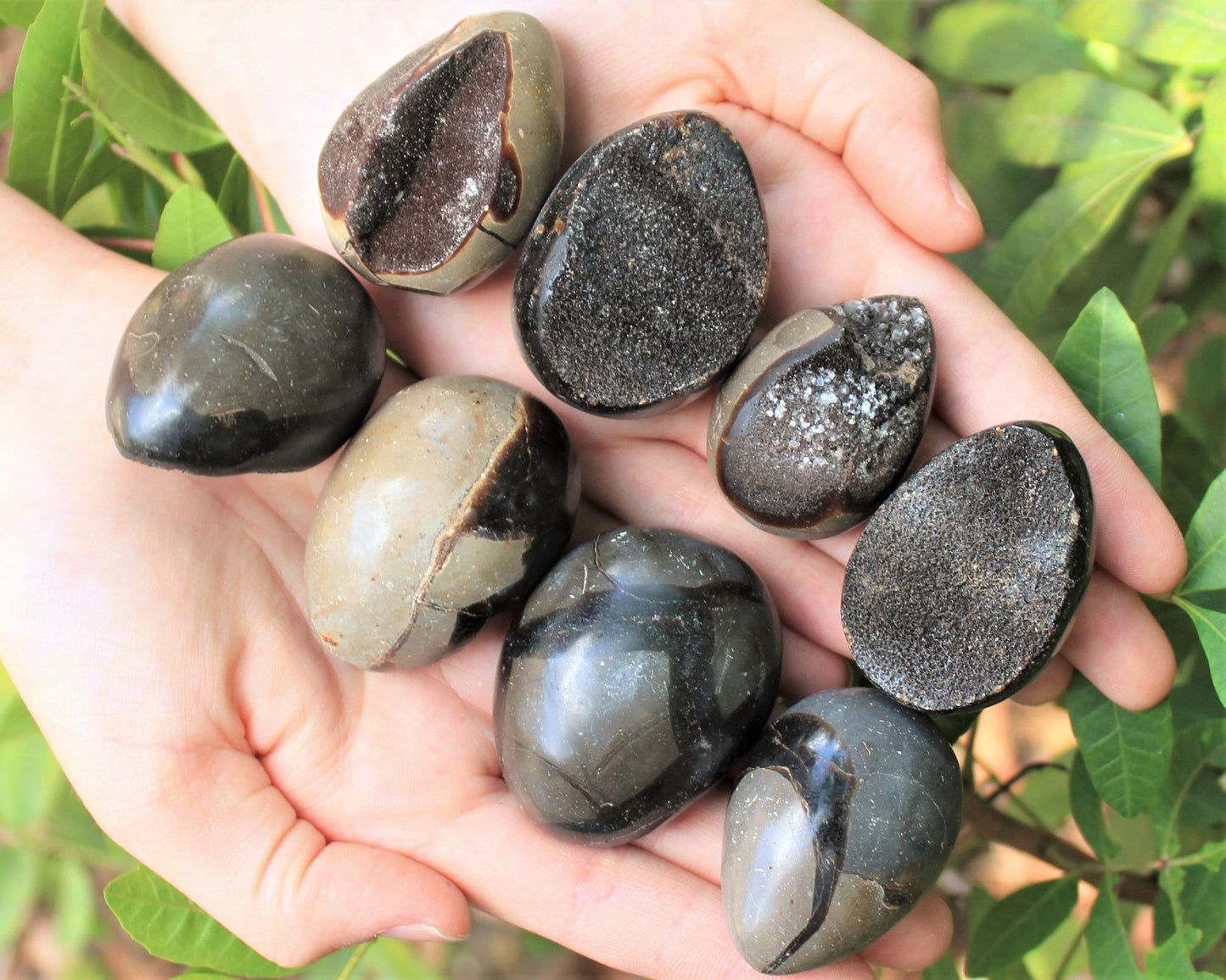 Septarian Egg Stones