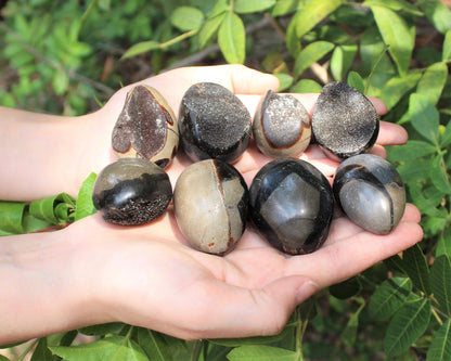 Septarian Egg Stones