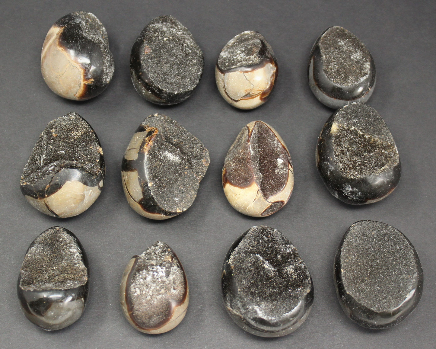 Septarian Egg Stones