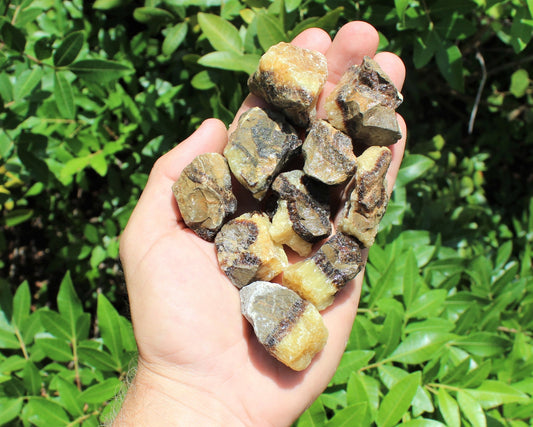 Septarian Rough Tumble Natural Stones