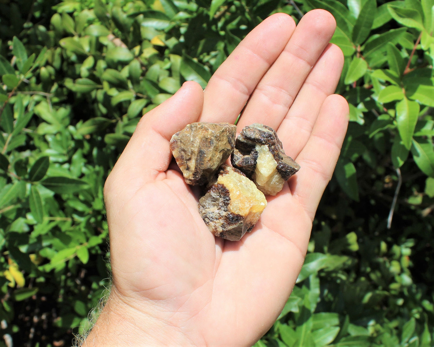 Septarian Rough Tumble Natural Stones