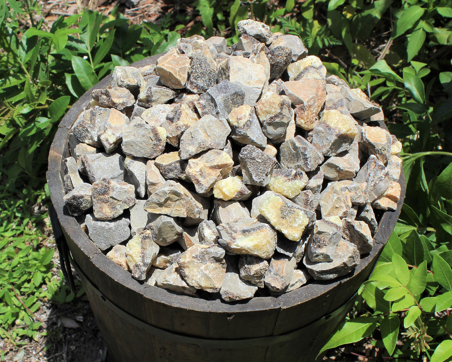 Septarian Rough Tumble Natural Stones