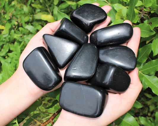 Shungite Freeform Specimens