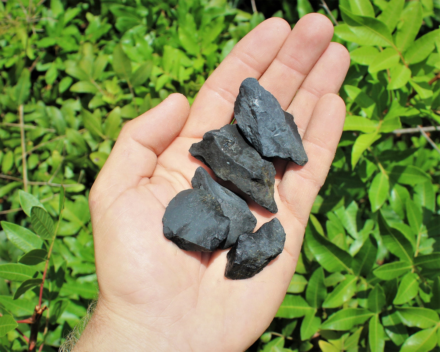 Shungite Raw Natural Stones