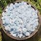 Small Rough Natural Celestite Chips