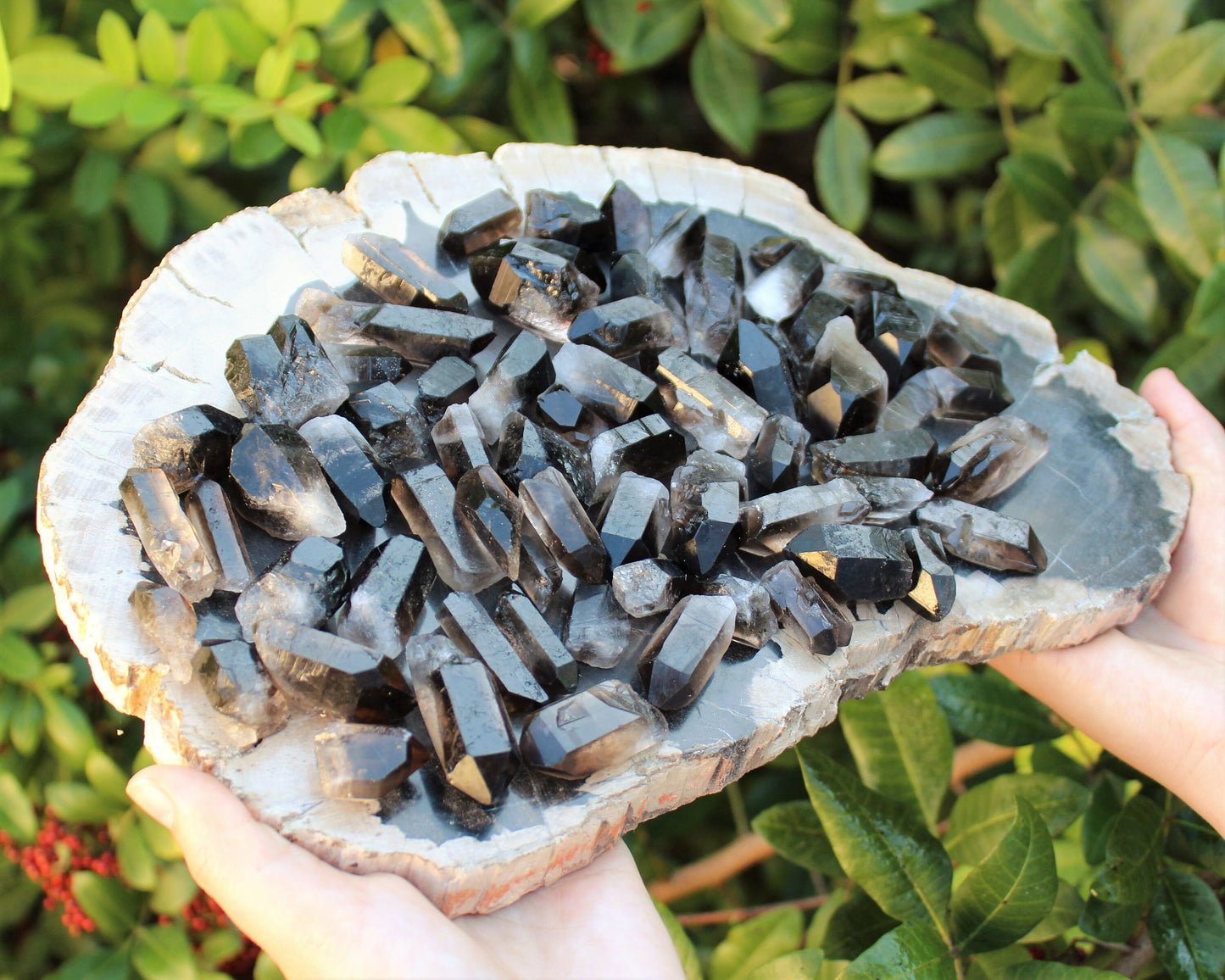 Smoky Quartz Points Crystal