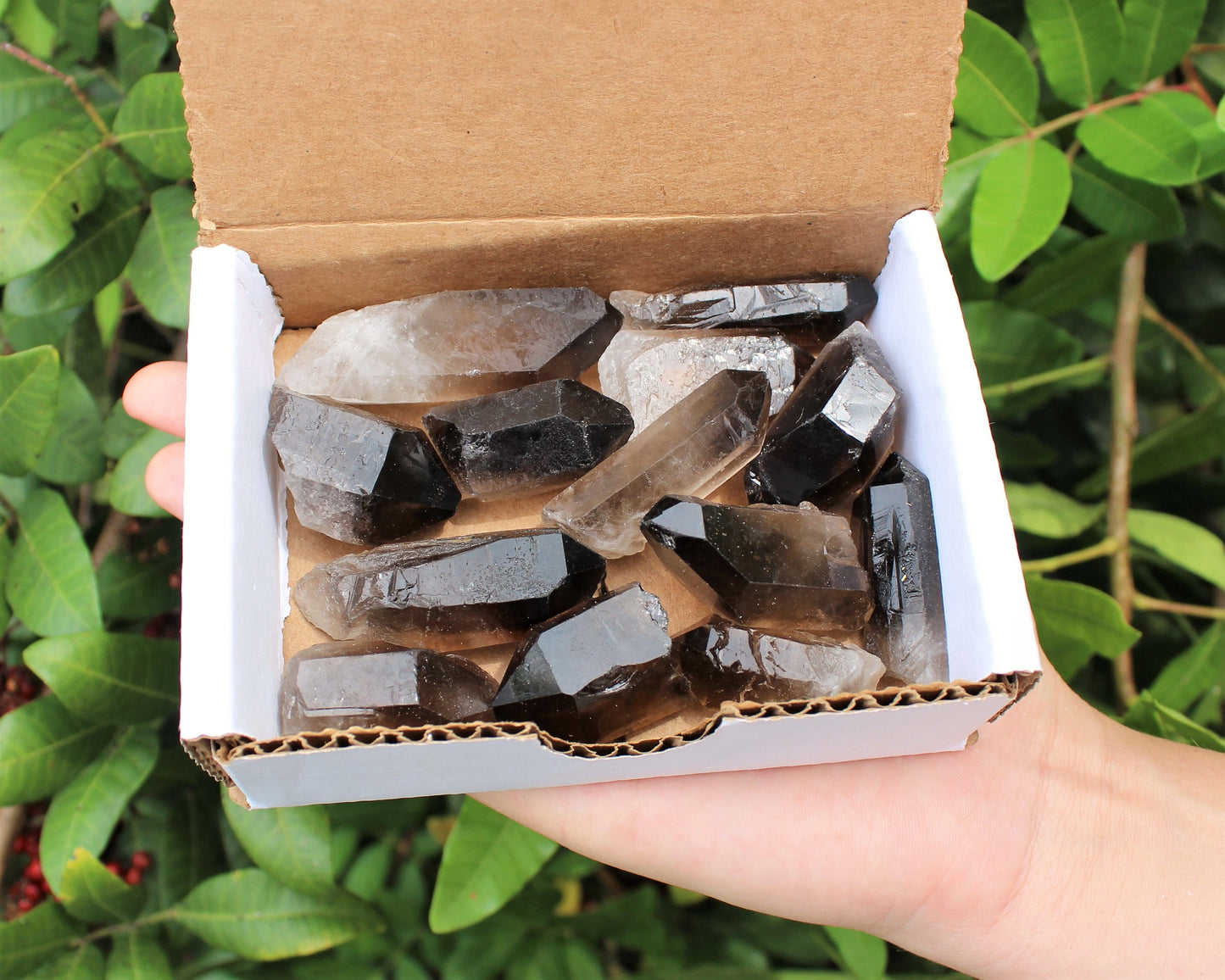 Smoky Quartz Points Crystal