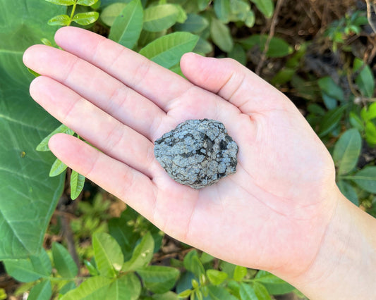 Snowflake Obsidian Rough Natural Stones