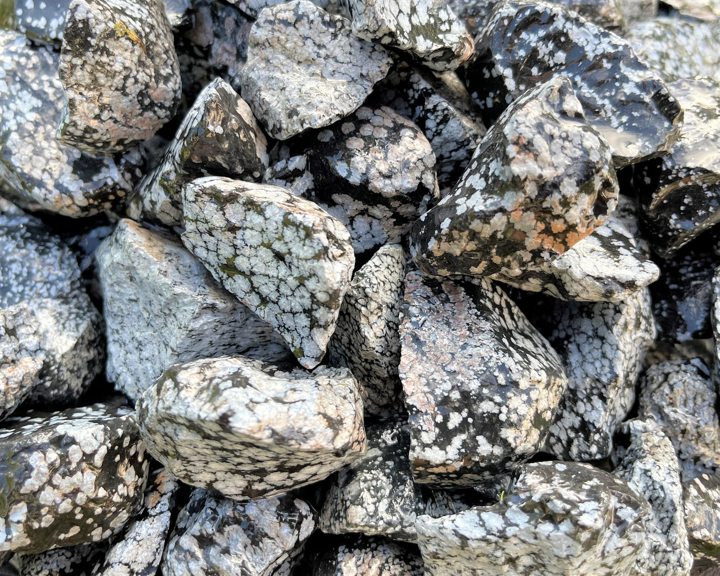 Snowflake Obsidian Rough Natural Stones