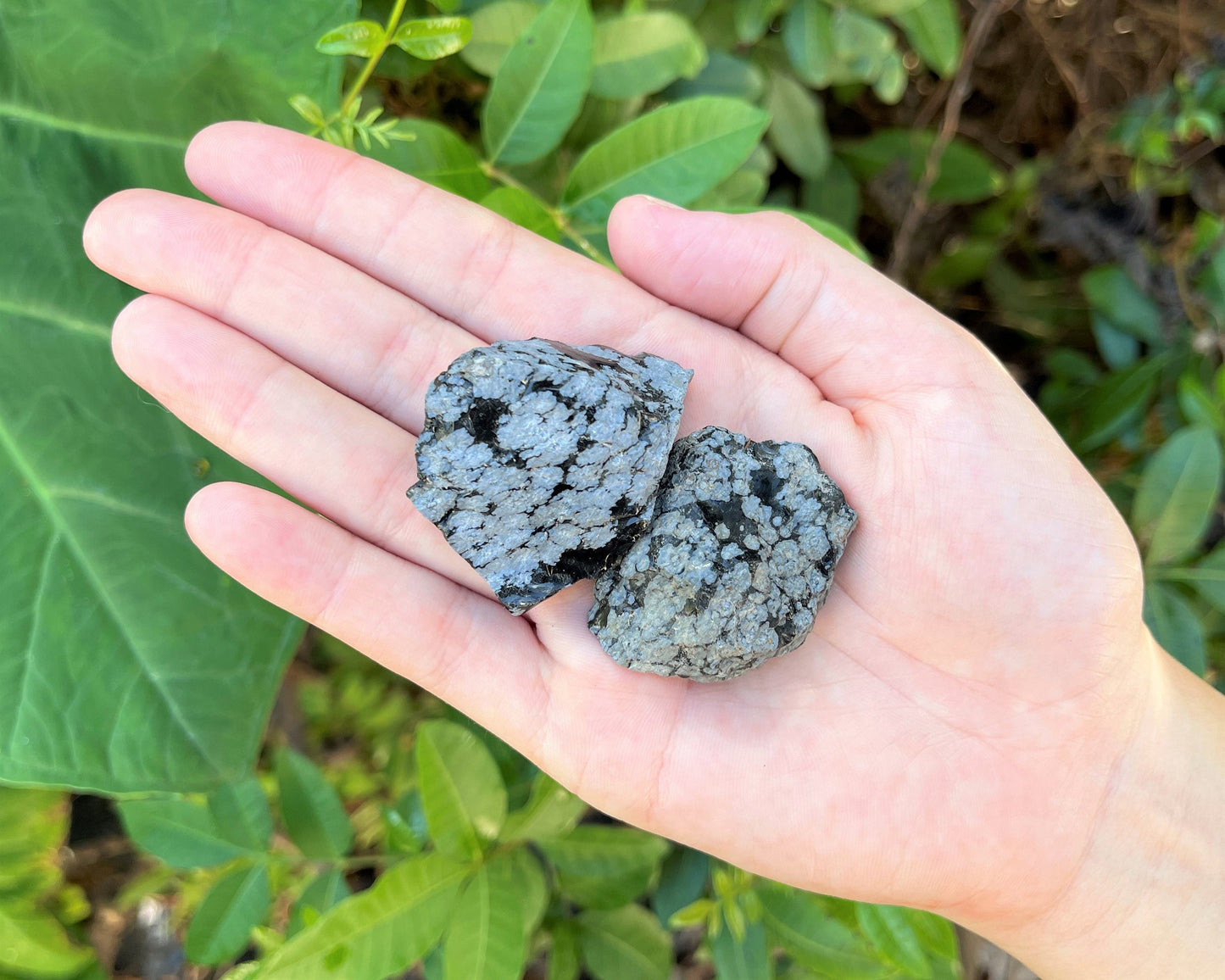 Snowflake Obsidian Rough Natural Stones