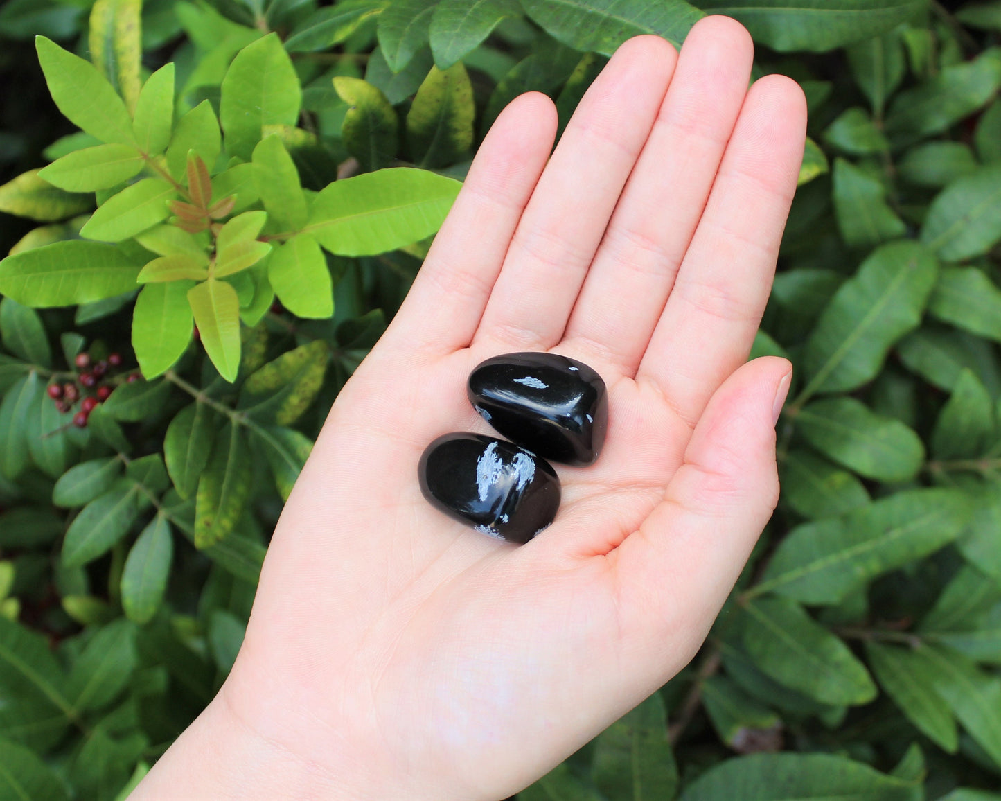 Snowflake Obsidian Tumbled Stones