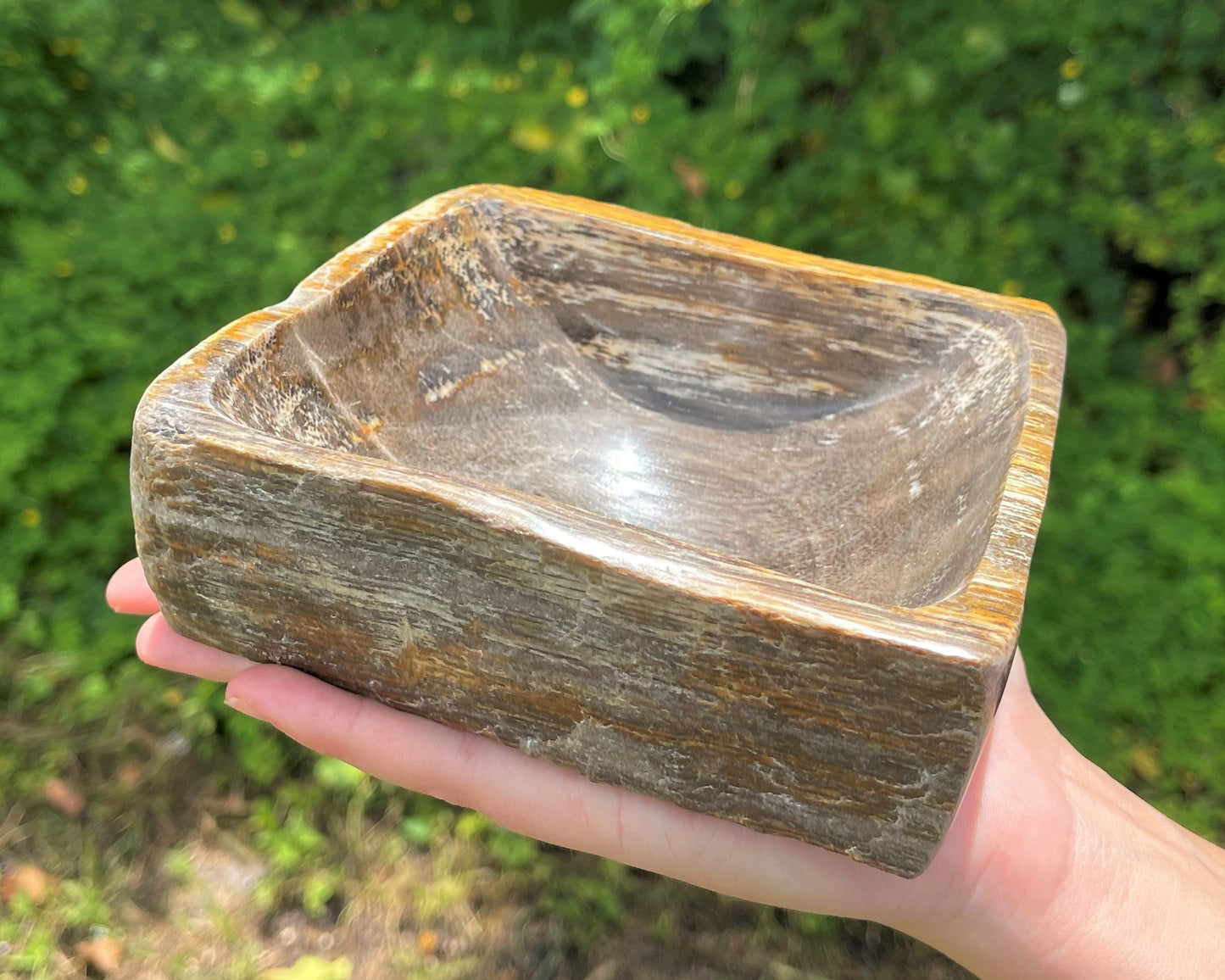 Square Petrified Wood Bowl