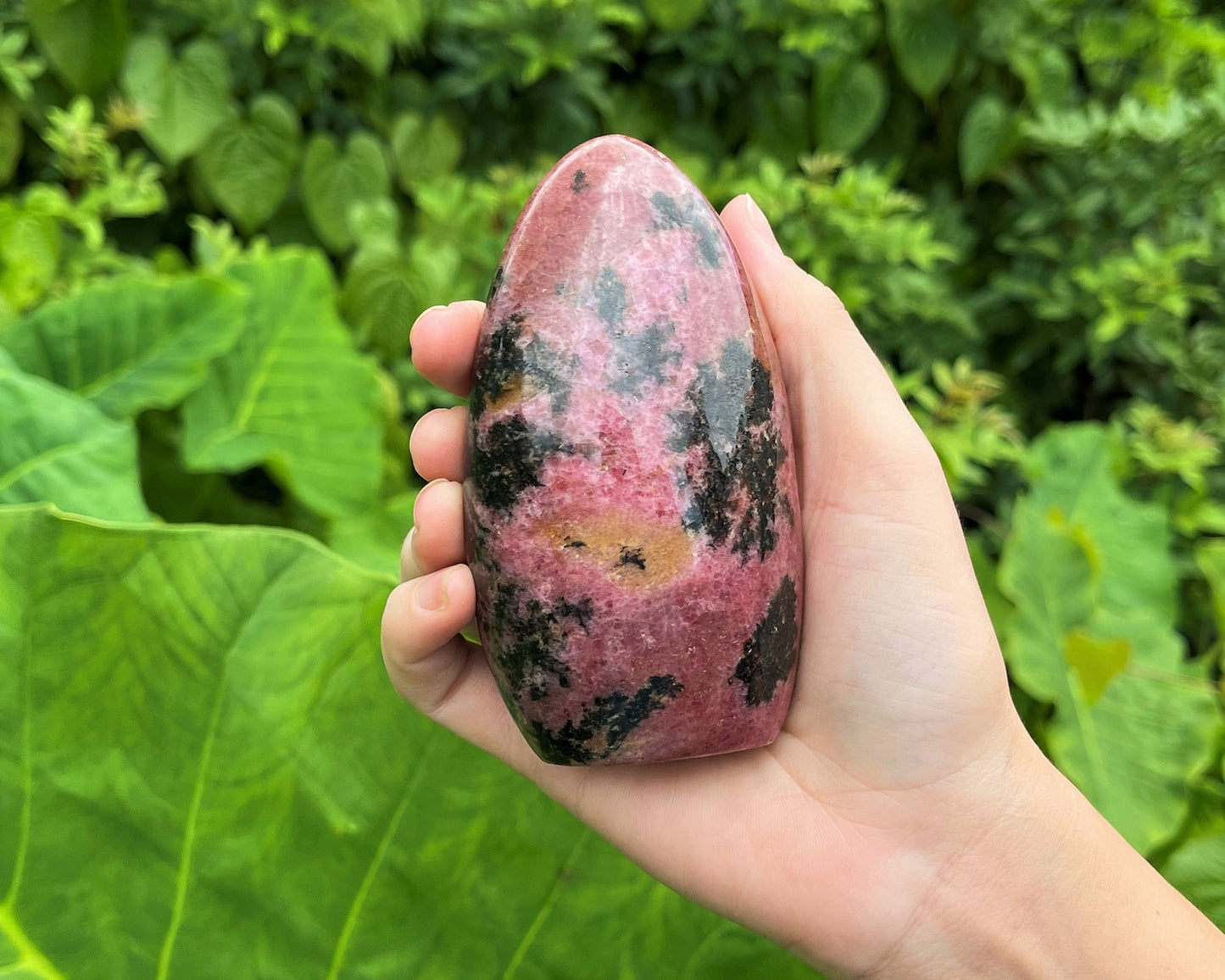 Stunning And Polished Rhodonite Crystal