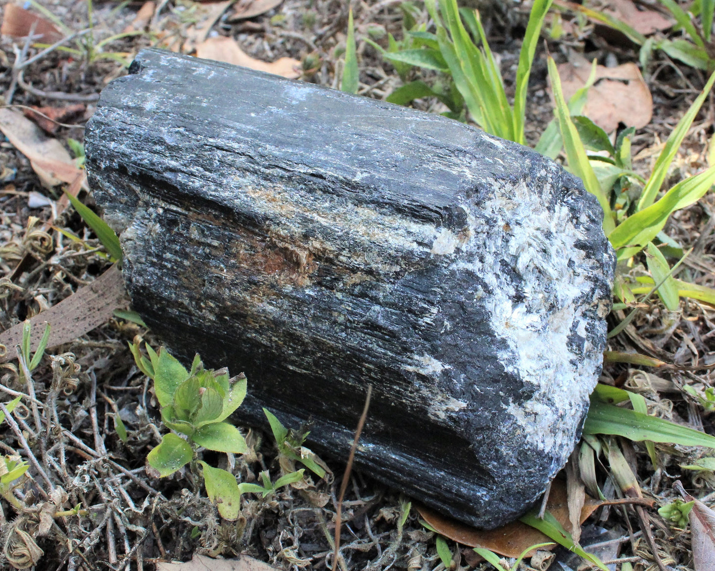 Tourmaline Rod Specimens Clearance Stone