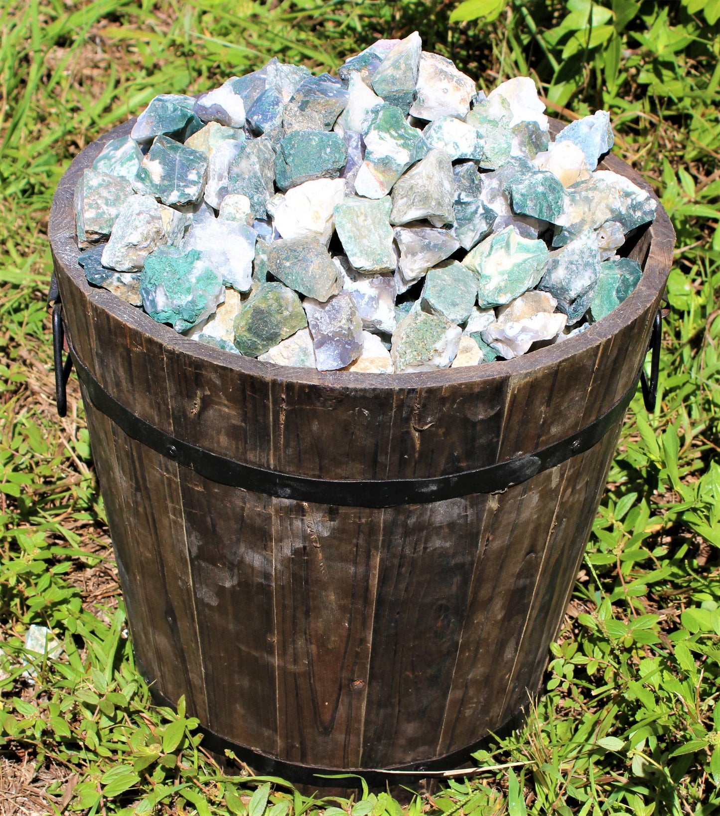 Tree Agate Natural Rough Stones