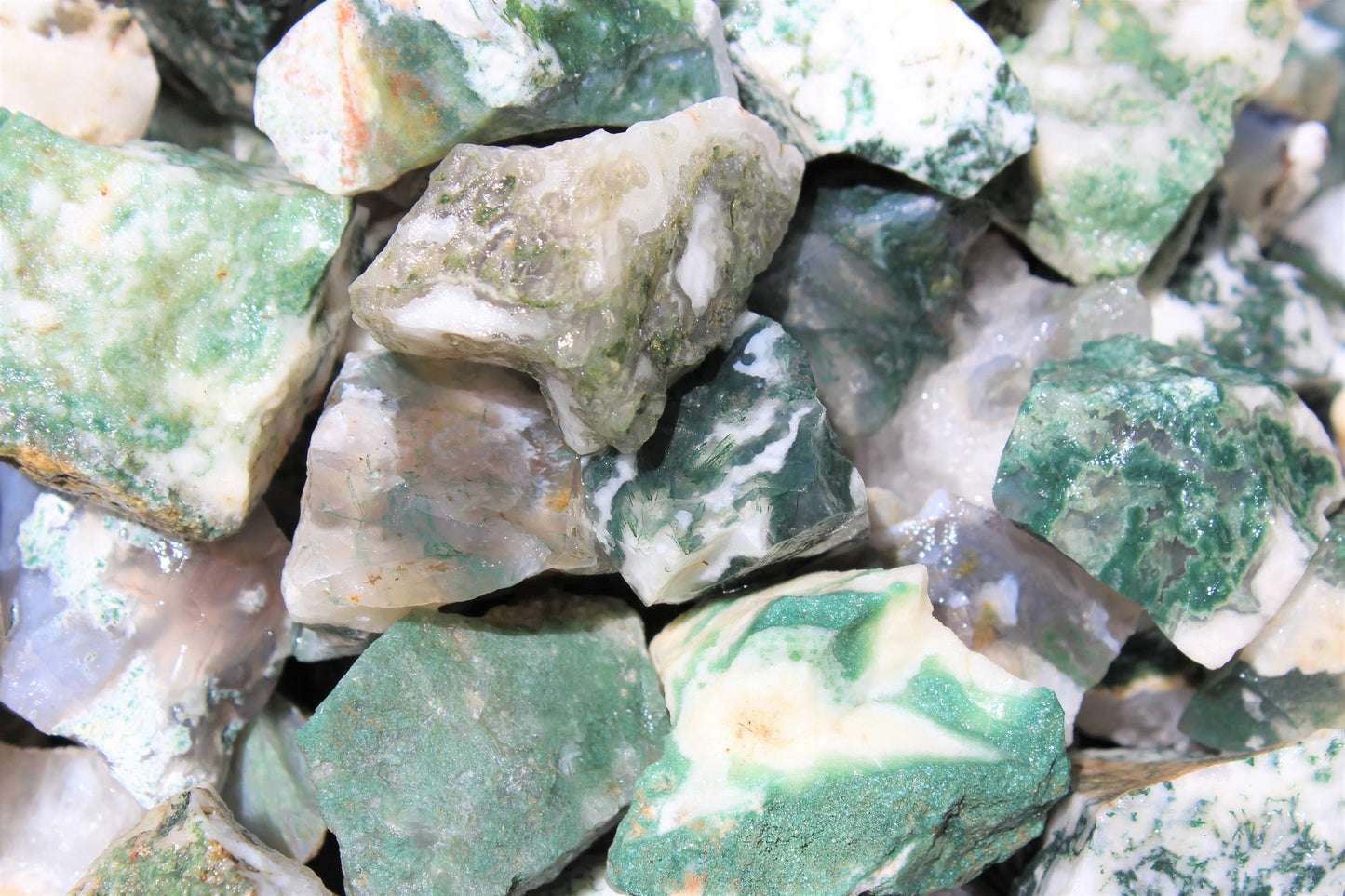 Tree Agate Natural Rough Stones