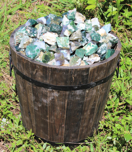 Tree Agate Rough Natural Stones